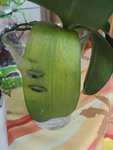 DSC022322.jpg