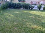 Un beau jardin tout vide !