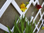 DSCN5442.JPG