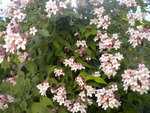 DSCN2128.JPG