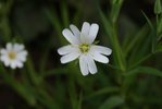 DSC03039o.jpg