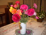 DSCN2125.JPG