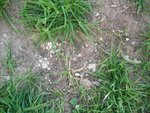 DSCF1069 - Copie.jpg