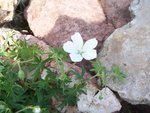 100_3089.JPG