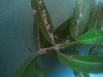 2011-05-06 18.30.21.jpg