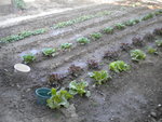 DSCN2249.JPG