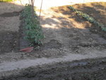 DSCN2250.JPG
