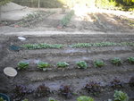 DSCN2251.JPG