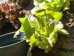 DSCN2262.JPG