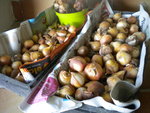 DSCN2260.JPG