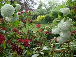 2011-05-06 découverte X.jpg