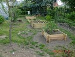2011-05-06  potager X Copie.jpg