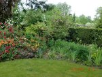 2011-05-06 fond et Bd X Copie.jpg
