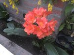BILD1250 [320x200].JPG