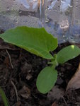 DSCN3091.JPG