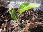 DSCN3095.JPG
