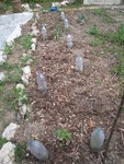 DSCN3130.JPG