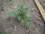 DSCN3127.JPG