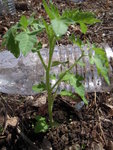 DSCN3093.JPG