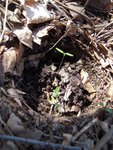 DSCN3085.JPG