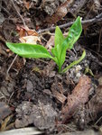 DSCN3128.JPG