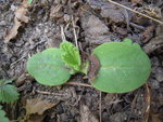 DSCN2995.JPG