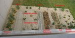 Potager vu du 2ème étage, la pelouse autour est celle du voisin  :veryhappy: