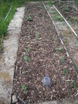 DSCN3147.JPG