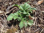 DSCN3156.JPG