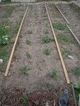 DSCN3126.JPG