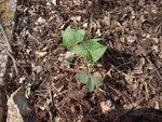 DSCN3152.JPG