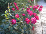 DSCN2253.JPG