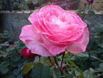 DSCN2198.JPG