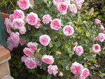 DSCN2236.JPG