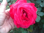 DSCN2199.JPG