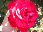 DSCN2270.JPG