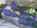 DSCN2241.JPG