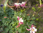 DSCN2208.JPG