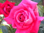 DSCN2244.JPG