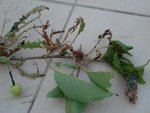 DSC03391.jpg