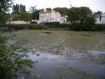 DSCF6550 bis.jpg