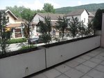 SDC10512.JPG