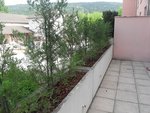SDC10511.JPG