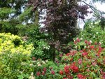2011-05-10 fond X.jpg
