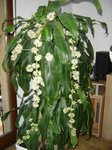 DSC04061.JPG