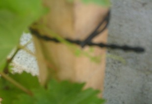 S7300082.JPG
