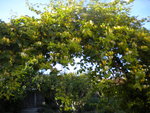 DSCN2248.JPG