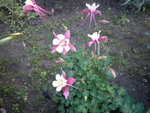 DSCN2194.JPG
