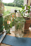DSC09859.jpg