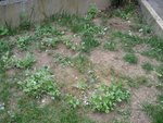 DSC05890.JPG